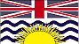 {short description of image}