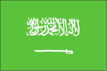 [Country Flag of Saudi Arabia]