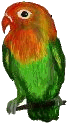{short description of image}